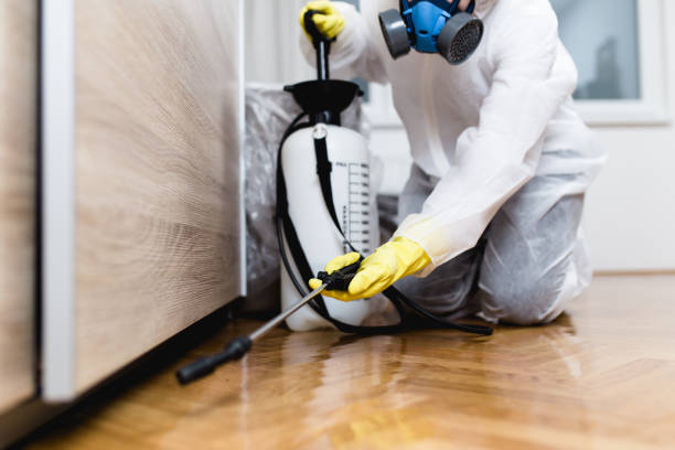 Trusted West Freehold, NJ Pest Control Experts