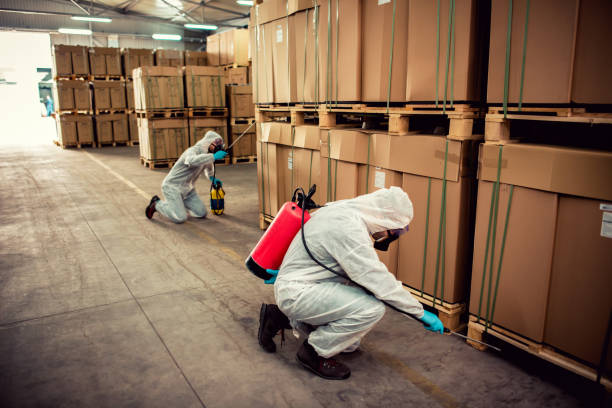 Best Termite Control Services  in West Freehold, NJ
