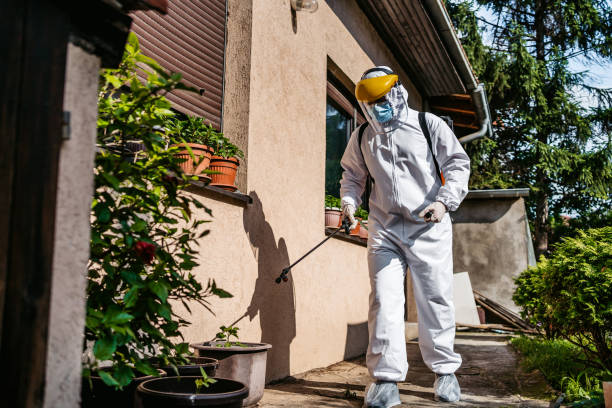 Best Wasp Removal Services  in West Freehold, NJ
