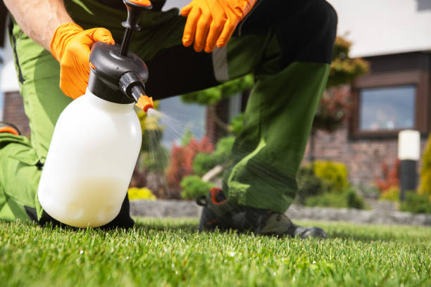 Wasp Removal Services in West Freehold, NJ