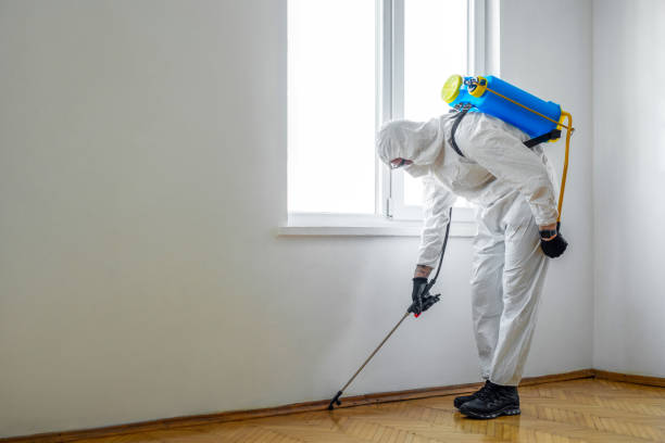 Pest Prevention Services in West Freehold, NJ