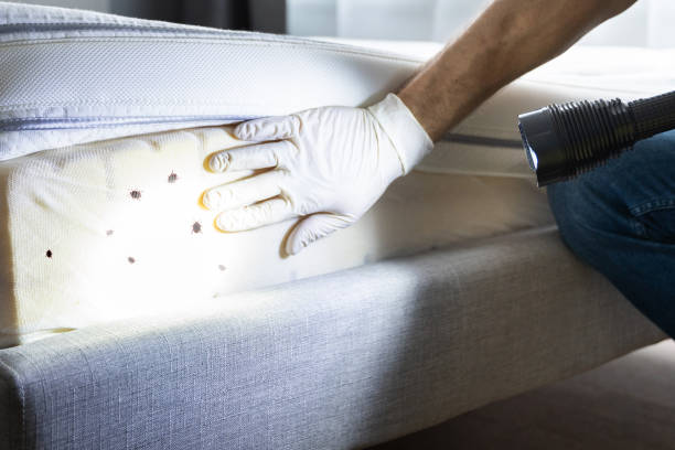  West Freehold, NJ Pest Control Pros
