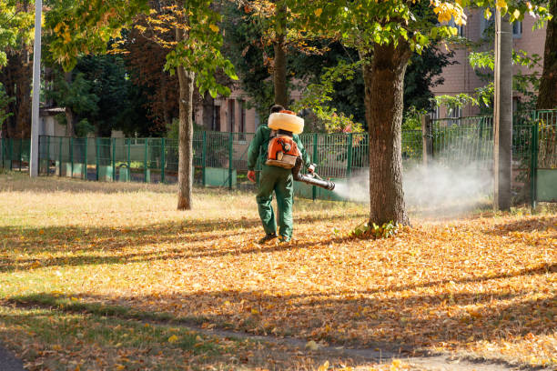 Professional Pest Control in West Freehold, NJ