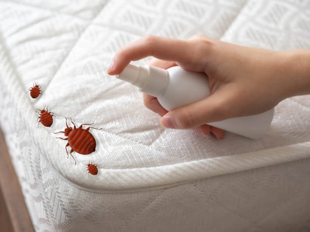 Pest Prevention Services in West Freehold, NJ