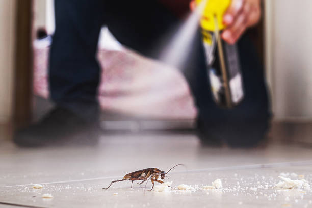 Best Best Pest Control Companies  in West Freehold, NJ