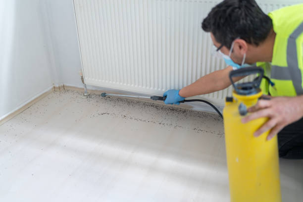 Best Flea Control Services  in West Freehold, NJ