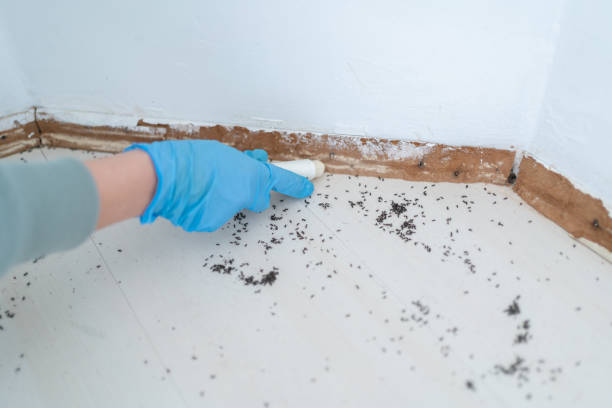 Best Residential Pest Control  in West Freehold, NJ